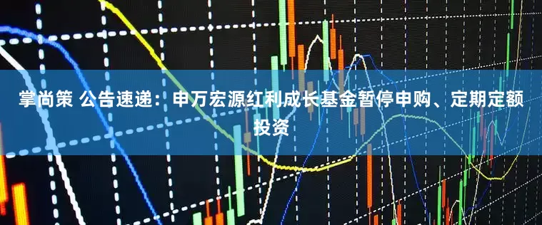 掌尚策 公告速递：申万宏源红利成长基金暂停申购、定期定额投资