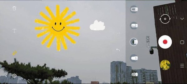 泸深在线 壹点日历9.5|大树因风雨而茁壮，人生因挑战而精彩！早安